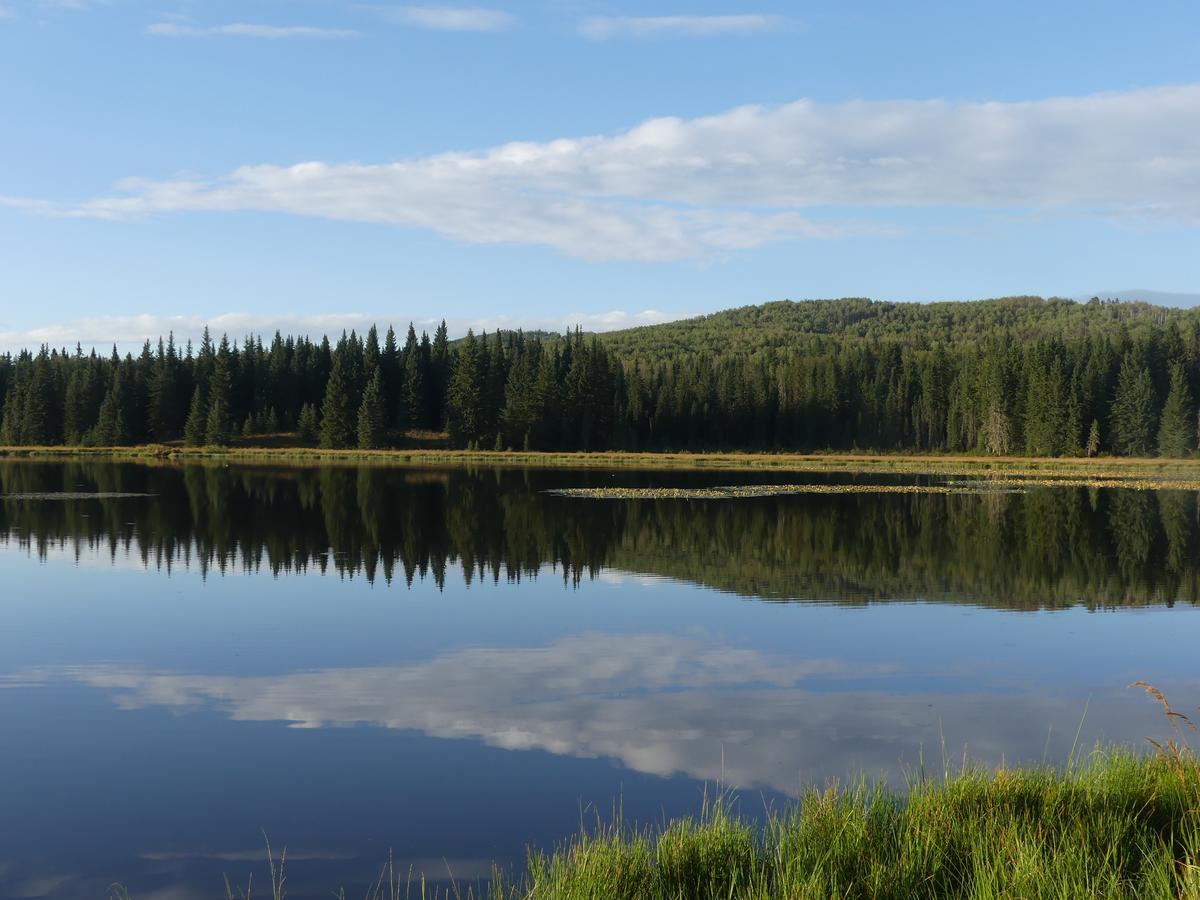 Schott'S Lake Conference & Resort Sundre Eksteriør bilde